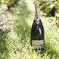 Moet et Chandon photo01